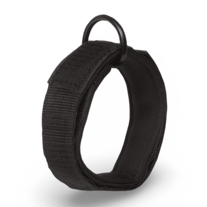 Наглезенка за Скрипец 