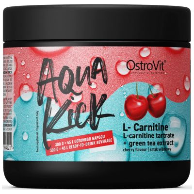 OstroVit  Aqua Kick / Advanced Hydration with L-Carnitine & Green Tea  [300 грама, 30 Дози]