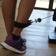 Наглезенка за Скрипец 